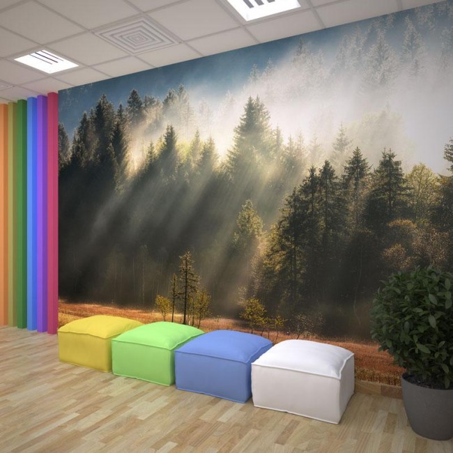 HP PVC Free Wallpaper-Forest