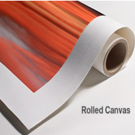 Roller Canvas Print
